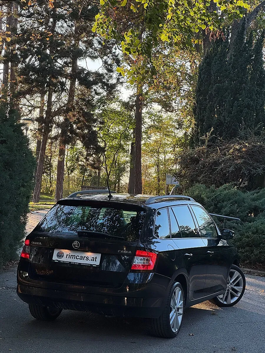 Skoda Fabia 2015 photo 3