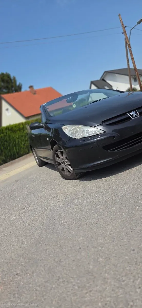Peugeot 307 2005 photo 2