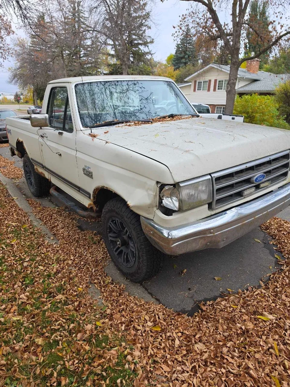 Ford F-150 1991 photo 2