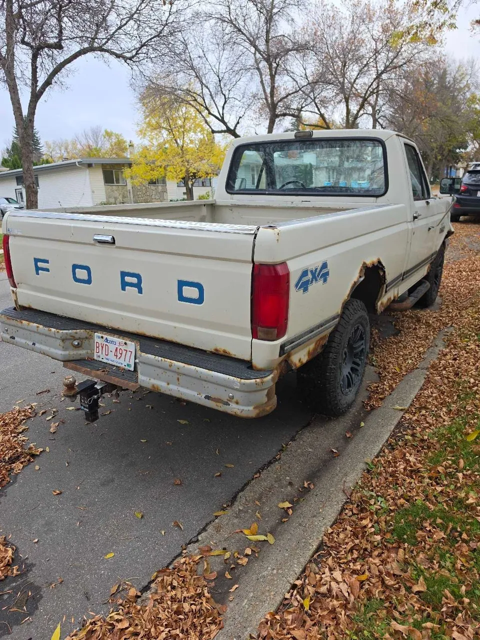 Ford F-150 1991 photo 3