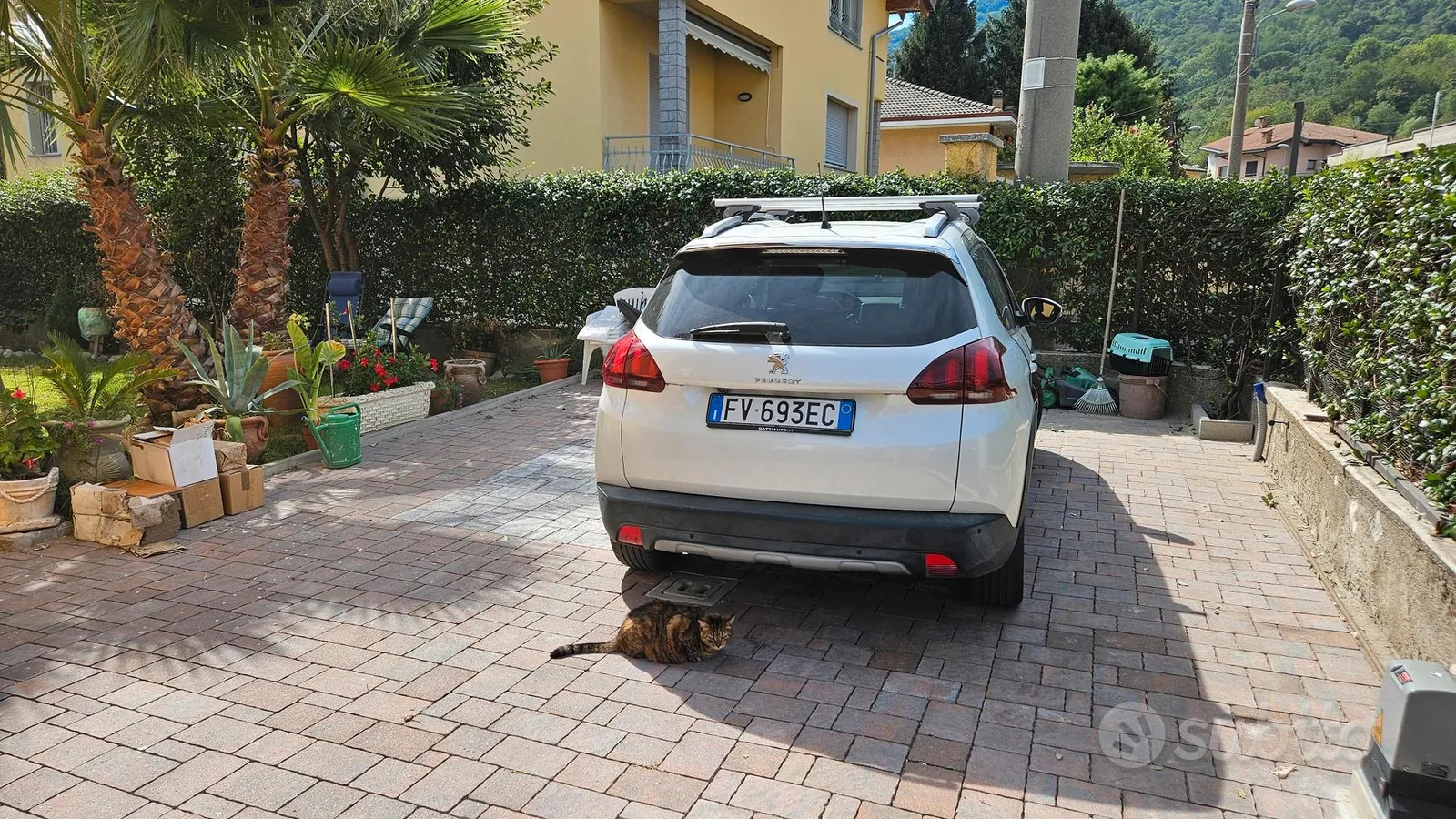 Peugeot 2008 2019 photo 4