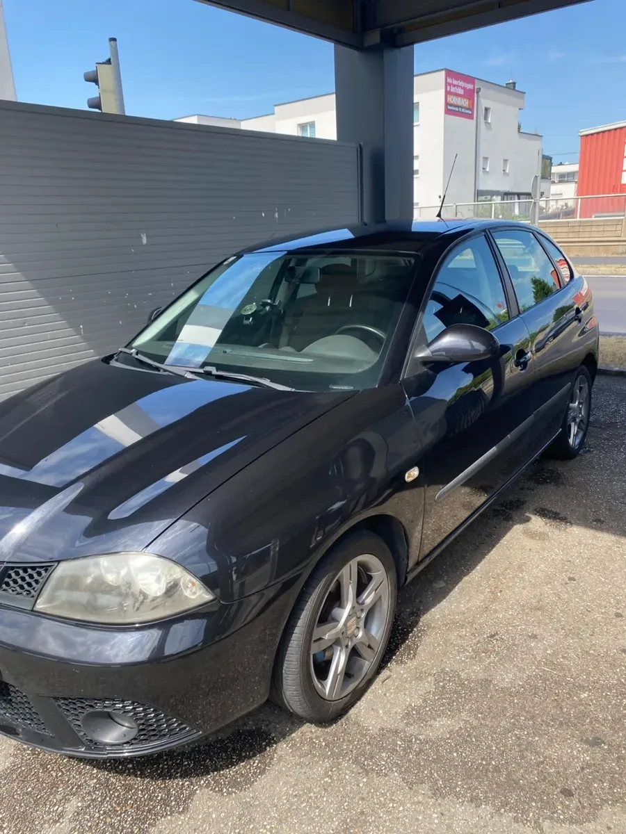 Seat Ibiza 2007 photo 2