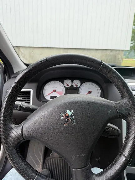 Peugeot 307 Sw 2007 photo 5