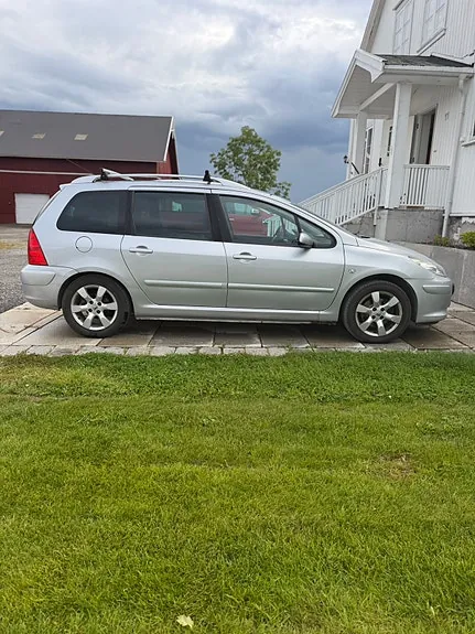 Peugeot 307 Sw 2007 photo 4