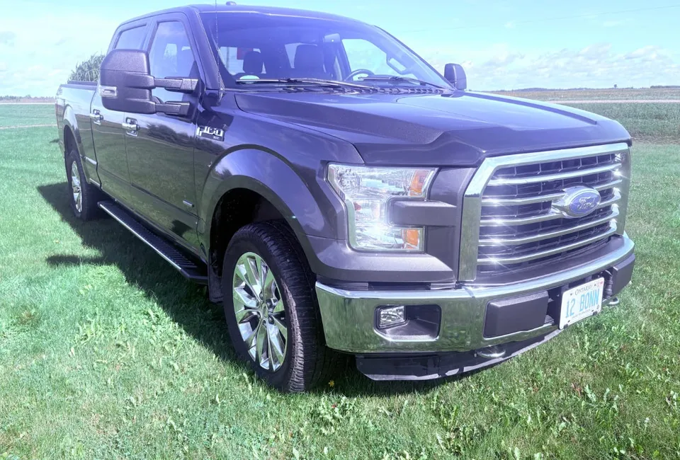 Ford F-150 2015 photo 3