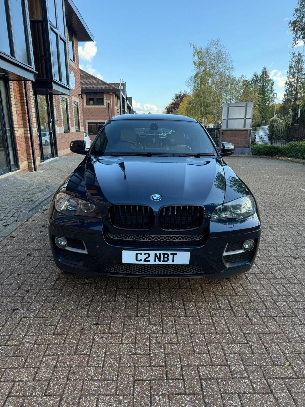 BMW X6 2013 photo 2