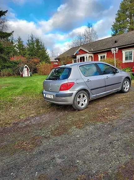 Peugeot 307 2003 photo 3