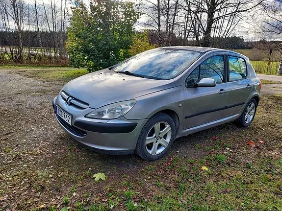 Peugeot 307 2003 photo 2