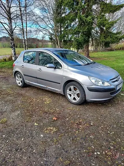 Peugeot 307