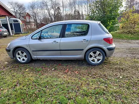 Peugeot 307 2003 photo 4