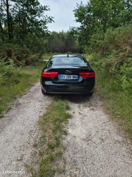 Jaguar Xe 2015 photo 2