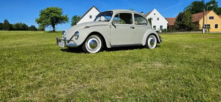 Volkswagen Käfer