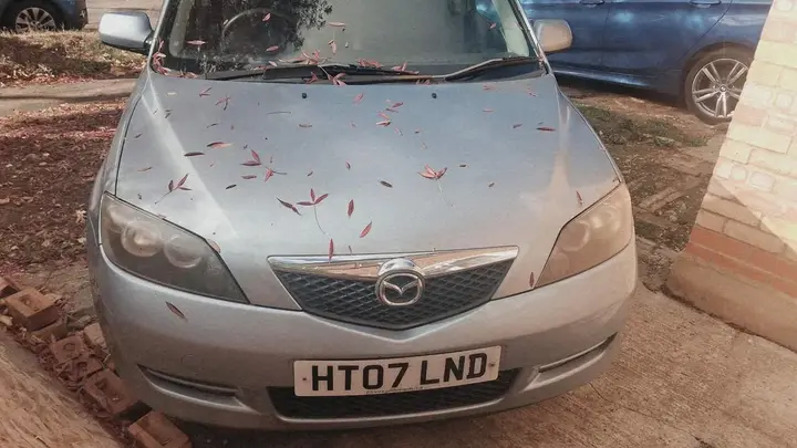 Mazda Mazda2