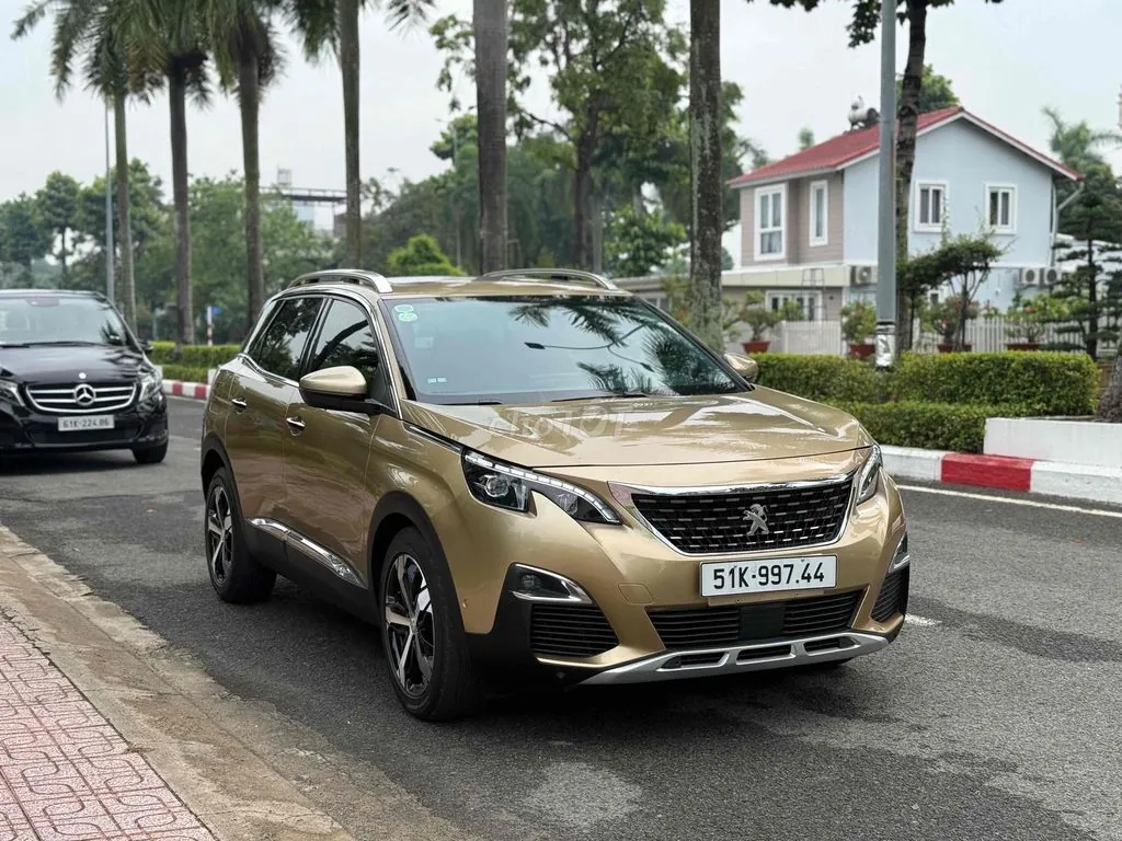 Peugeot 3008 2020 photo 3