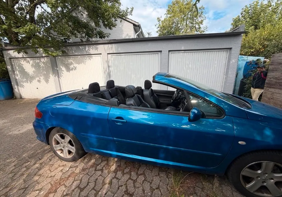 Peugeot 307 Cc Cabrio