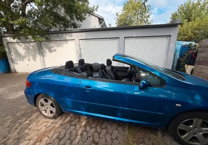Peugeot 307 Cc Cabrio