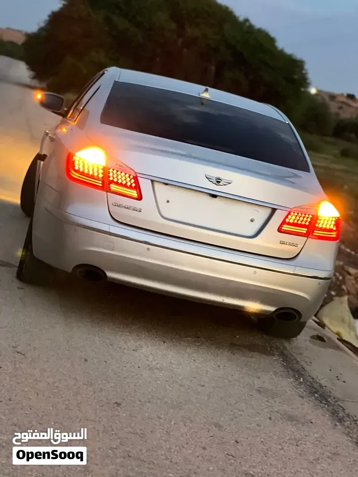 Genesis Sonata 2010 photo 2
