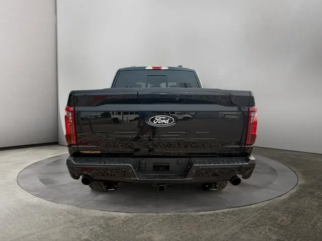 Ford F-150 2026 photo 4