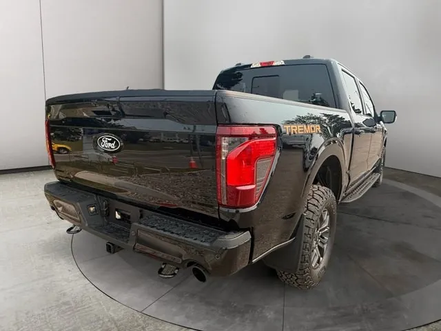 Ford F-150 2026 photo 5
