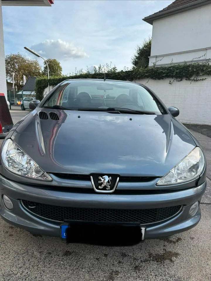 Peugeot 206 Cc