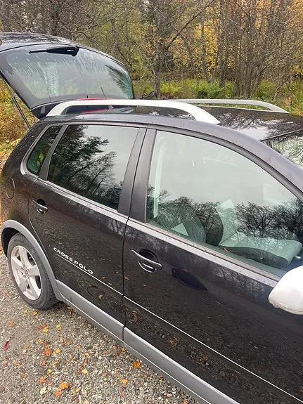 Volkswagen Polo Cross 2009 photo 5