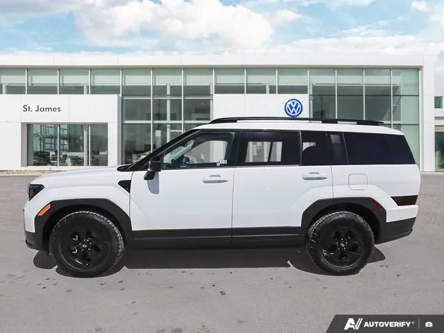 Hyundai Santa Fe 2024 photo 2
