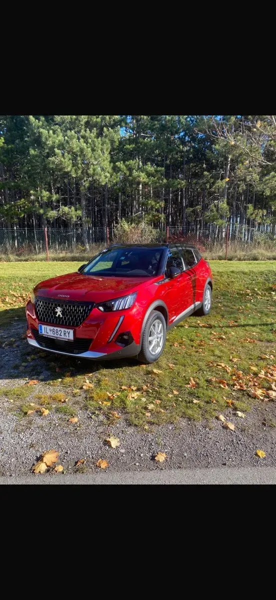 Peugeot 2008 2020 photo 2