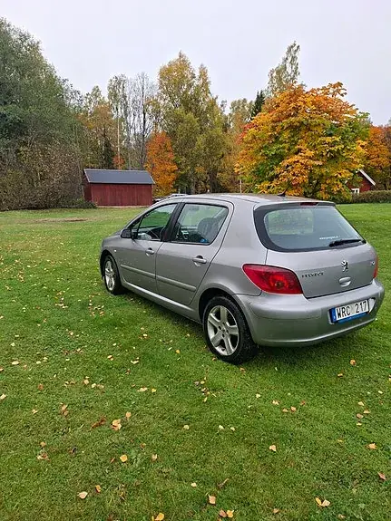 Peugeot 307 2005 photo 2