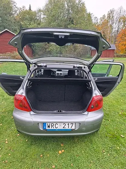 Peugeot 307 2005 photo 3