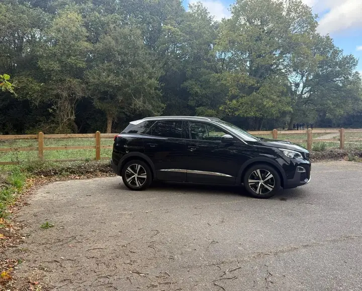 Peugeot 3008 2019 photo 4