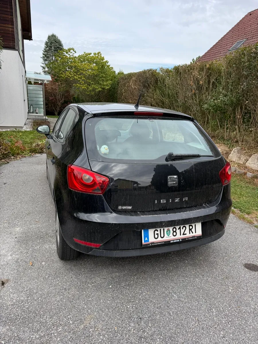 Seat Ibiza 2014 photo 2