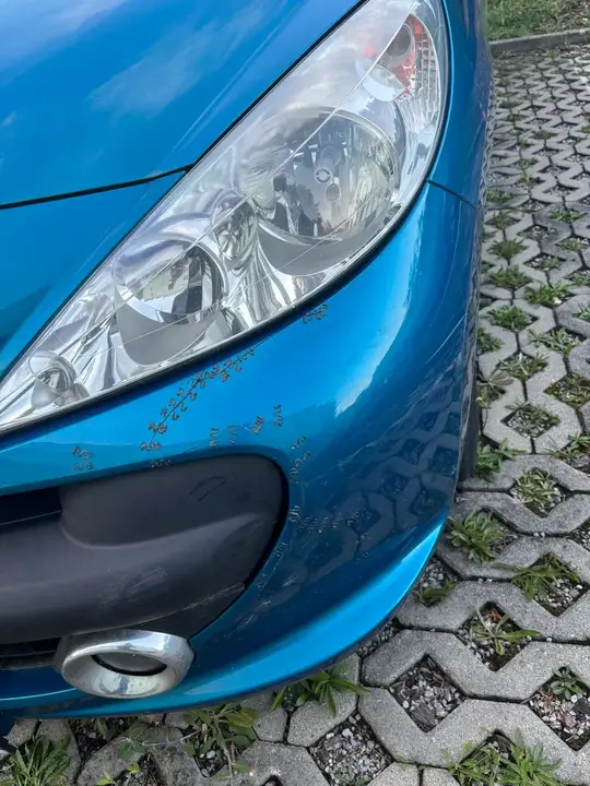 Peugeot 207 Cc 2007 photo 3