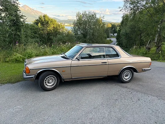 Mercedes-Benz 230 1983 photo 4
