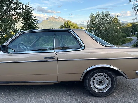 Mercedes-Benz 230 1983 photo 5