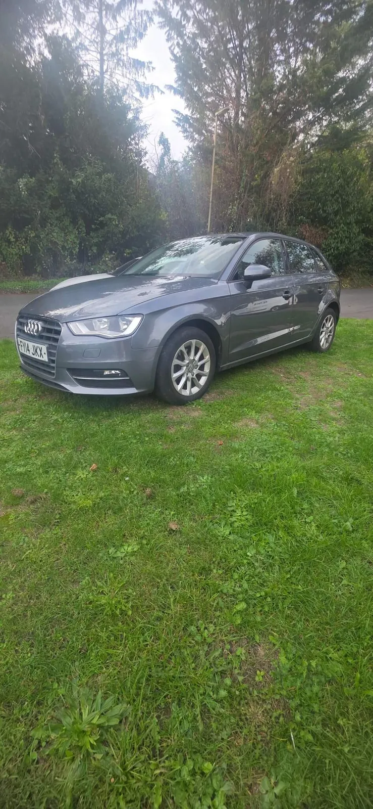 Audi A3 2014 photo 2