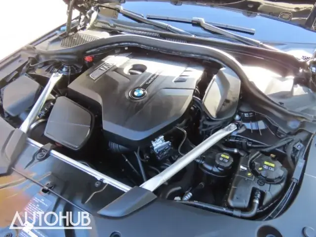 BMW 530I 2019 photo 5