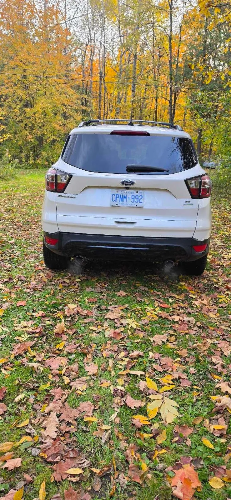 Ford Escape 2017 photo 4