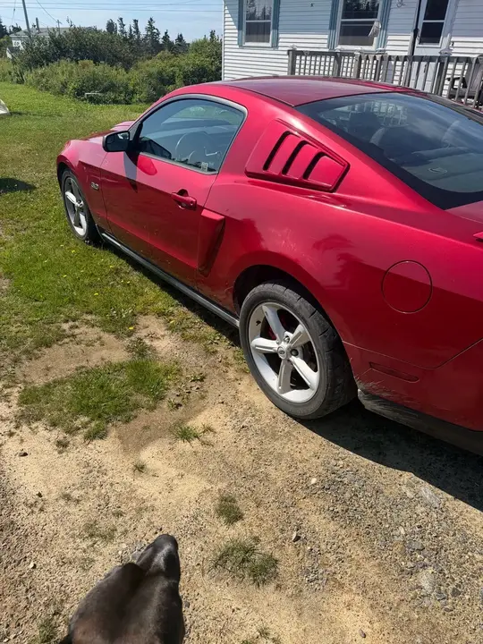 Ford Mustang