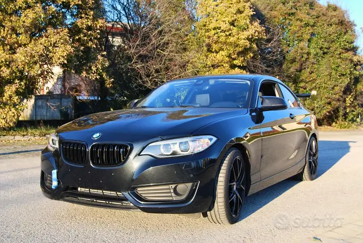 BMW 220I 2014 photo 2