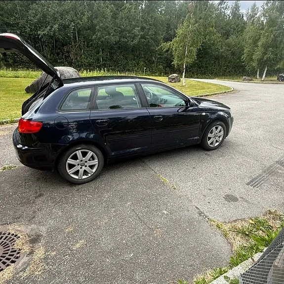 Audi A3 2008 photo 2
