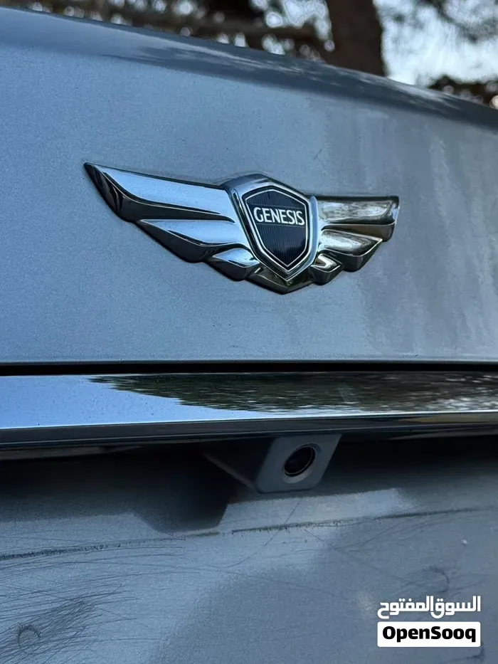 Genesis Sonata 2010 photo 3