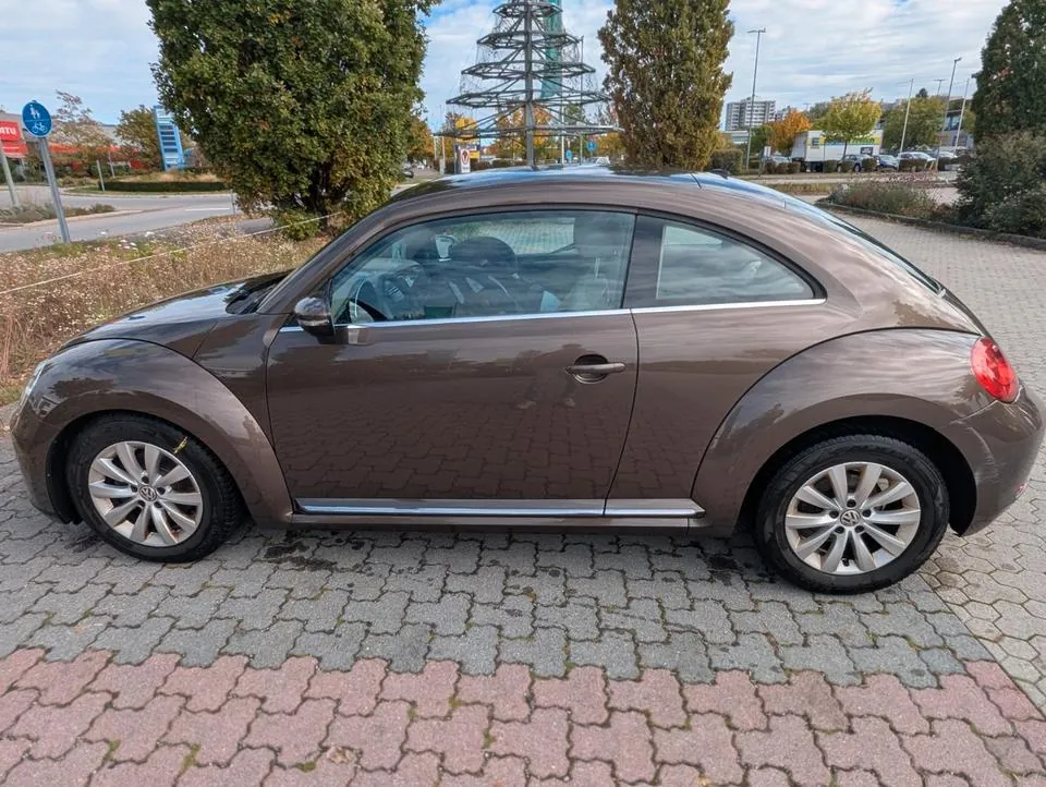 Volkswagen Beetle