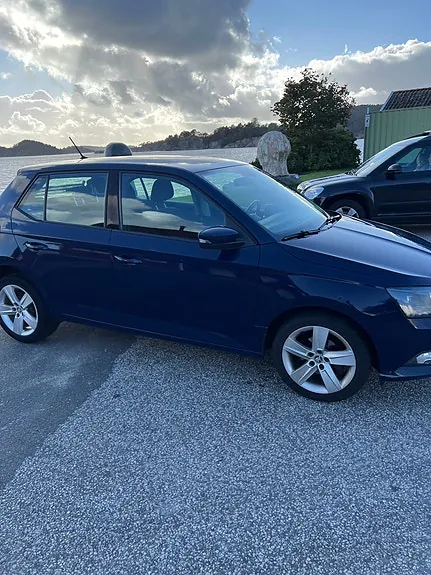 Skoda Fabia 2015 photo 4