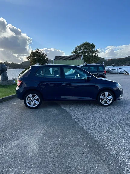Skoda Fabia 2015 photo 5