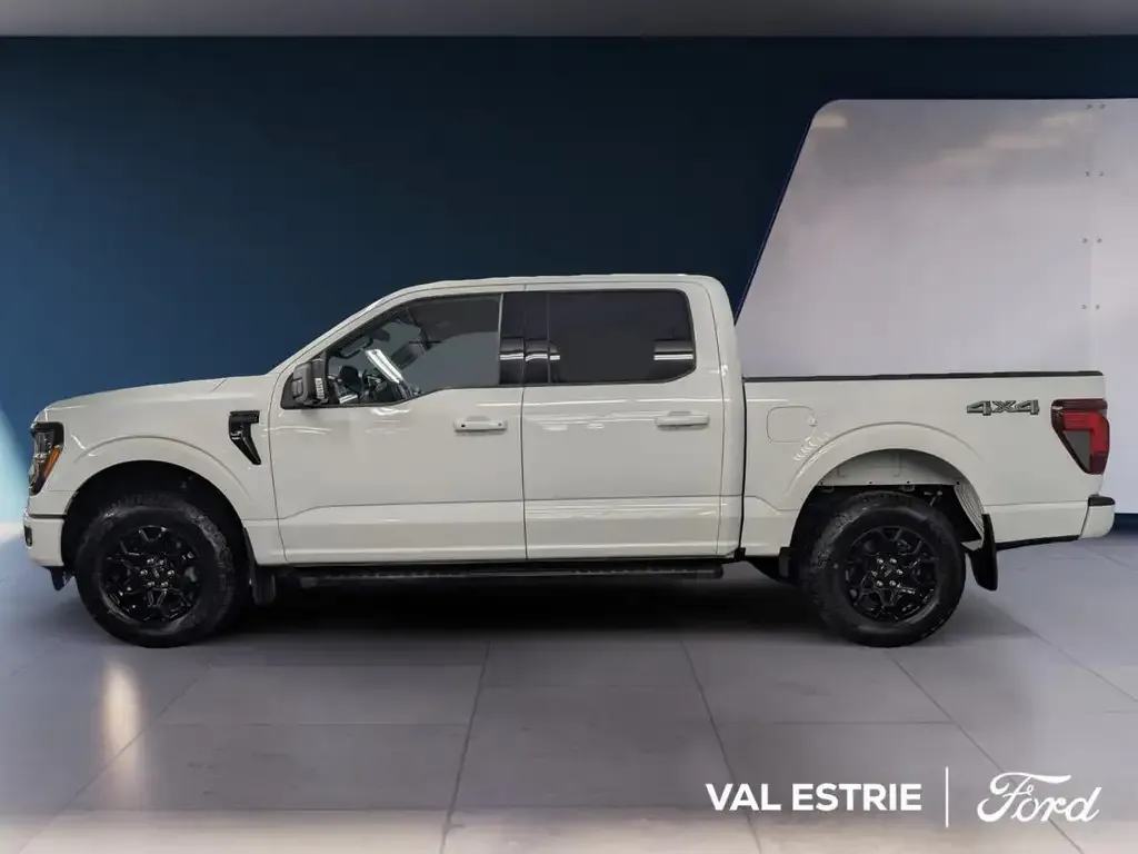 Ford F-150 2025 photo 3