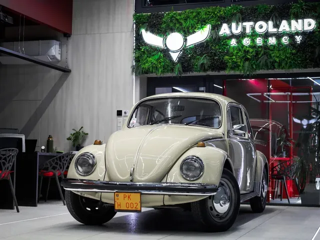 Volkswagen Beetle 1970 photo 3