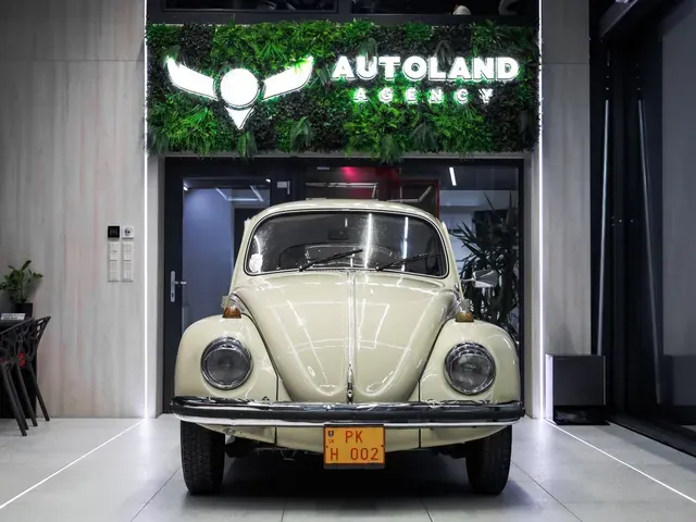 Volkswagen Beetle 1970 photo 2