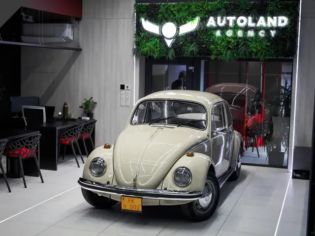 Volkswagen Beetle 1970 photo 4