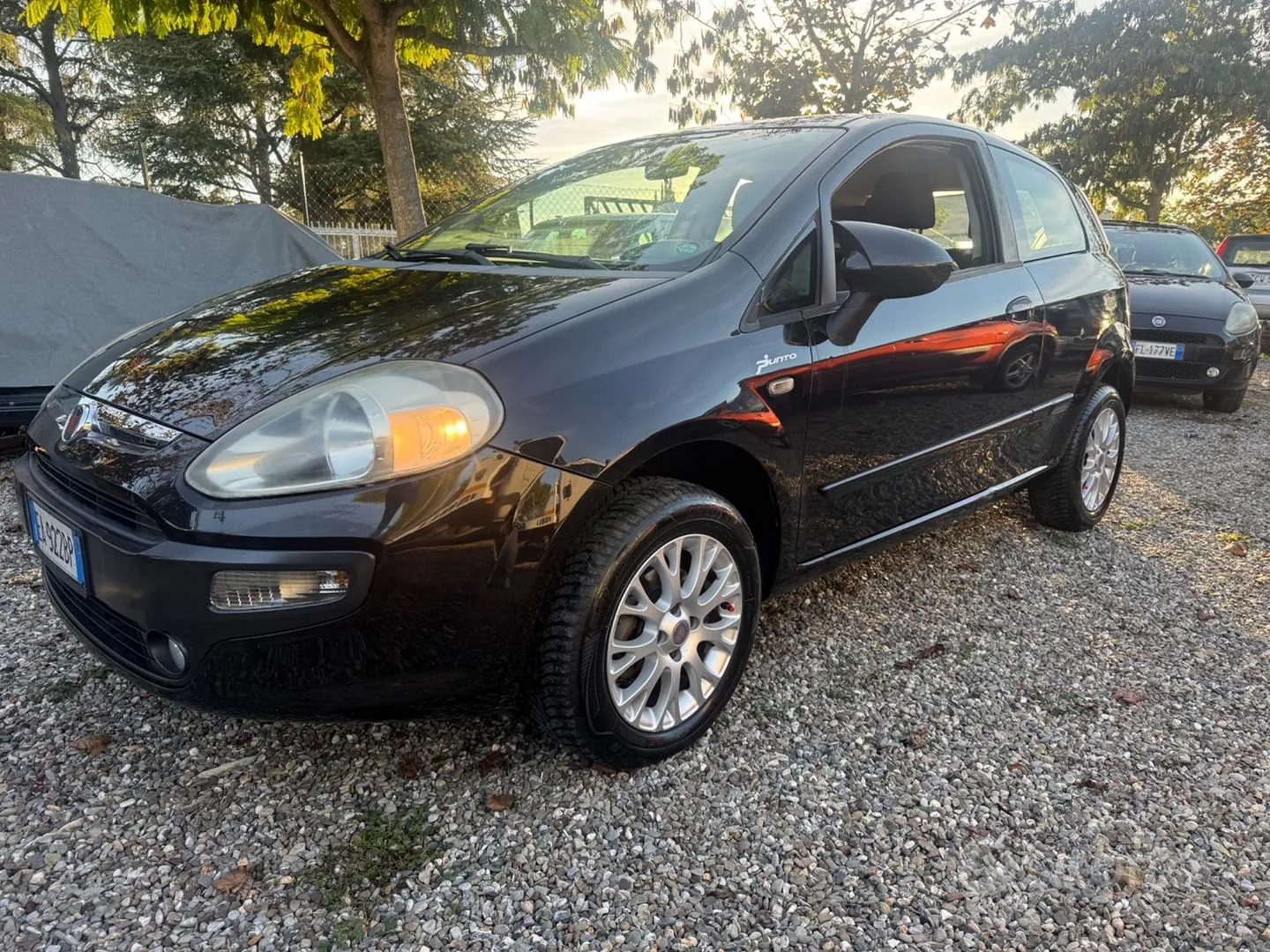Fiat Punto Evo 2010 photo 2
