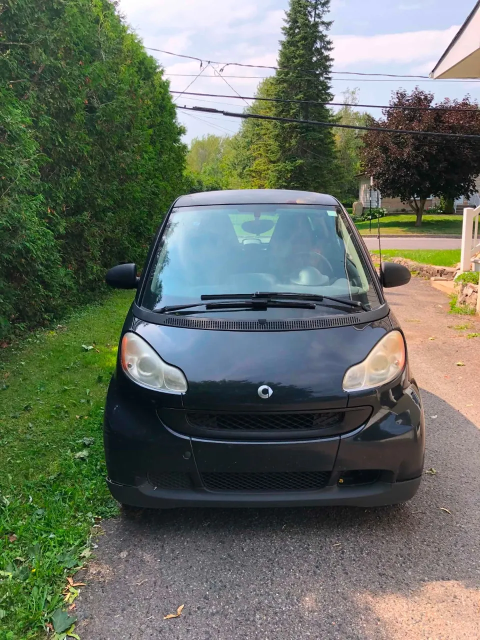 Smart Fortwo 2011 photo 2